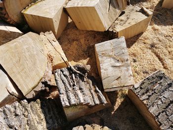 High angle view of wooden logs on field