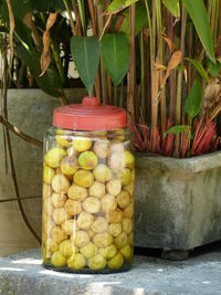 Close-up view of jar