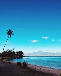 Scenic view of sea against blue sky