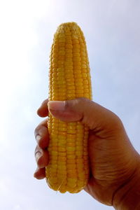 Midsection of person holding ice cream against sky
