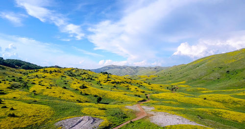 Scenic view of landscape against sky