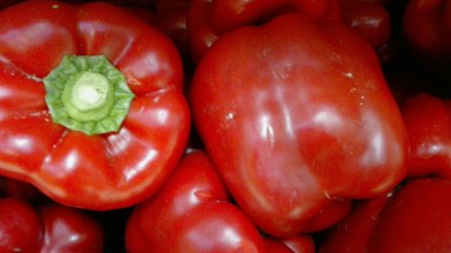 Full frame shot of tomatoes