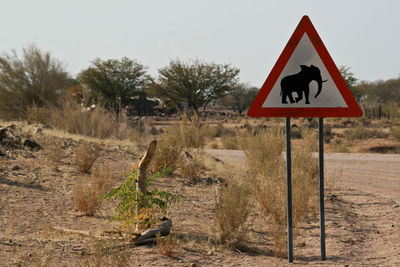 Elephant road sign in a field