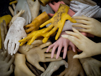 Close-up of manakin hands