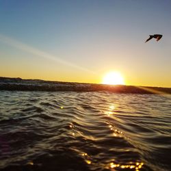 Silhouette bird flying over sea against sky during sunset