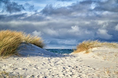 Scenic view of beach against sky