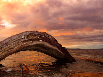 Driftwood in sea against cloudy sky during sunset