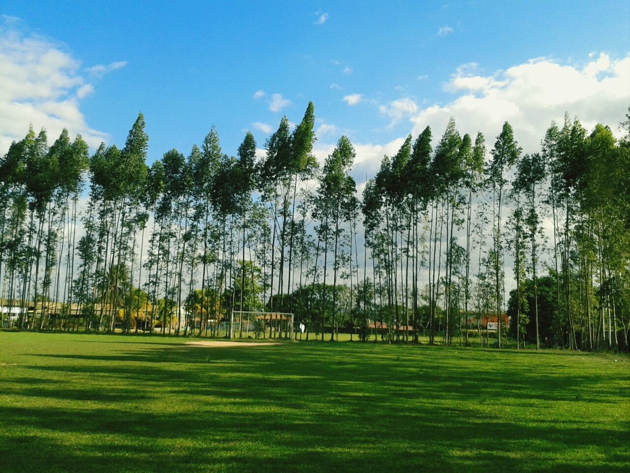 tree, grass, sky, green color, cloud - sky, built structure, building exterior, architecture, nature, tranquility, growth, cloud, park - man made space, tranquil scene, sunlight, scenics, travel destinations, beauty in nature, mountain, day