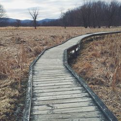 Railroad tracks on landscape