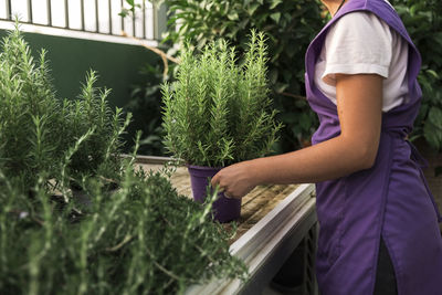 Midsection of female owner carrying potted plant in garden center