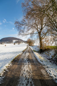 Road amidst trees against sky during winter
