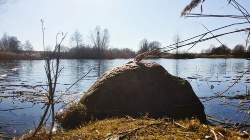 Reflection of trees in lake