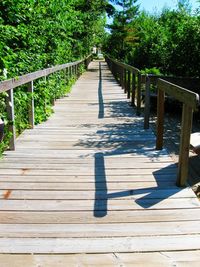 Wooden footbridge