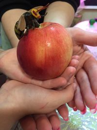 Midsection of person holding apple