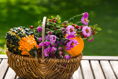 Close-up of multi colored flowers