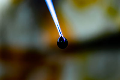 Macro shot of water drop on leaf