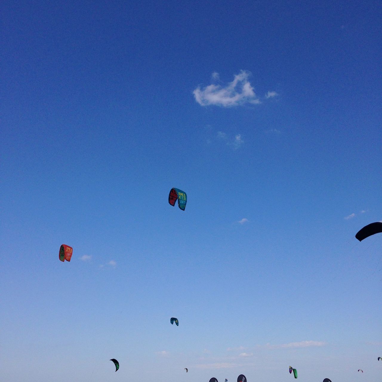 flying, low angle view, mid-air, blue, bird, animal themes, clear sky, sky, animals in the wild, wildlife, copy space, nature, parachute, outdoors, freedom, beauty in nature, hot air balloon, flock of birds, silhouette