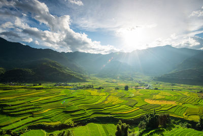 Scenic view of agricultural rice terraces mu cang chai sunset point