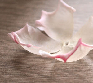 Close-up of pink rose on table