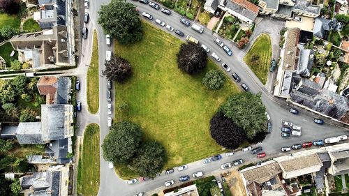 High angle view of trees and buildings in city