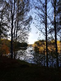 Scenic view of lake in forest against sky