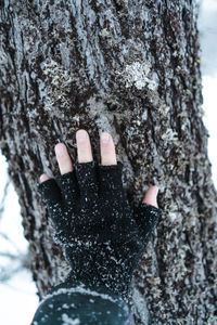 Cropped hand of person touching tree trunk in forest during winter