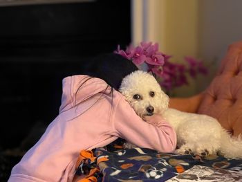 Dog relaxing on bed at home