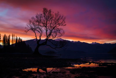 Silhouette bare tree by lake against sky during sunset