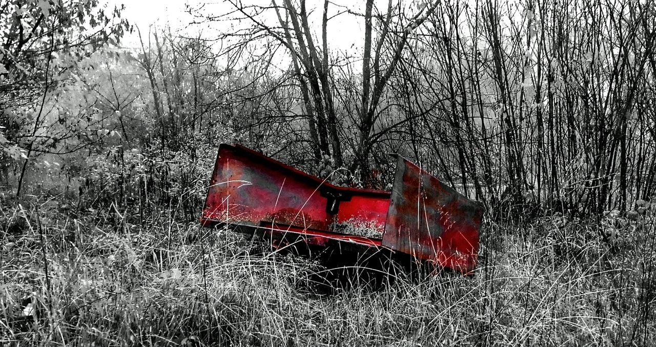 grass, tree, field, red, abandoned, tranquility, grassy, day, outdoors, nature, landscape, no people, plant, bare tree, growth, damaged, obsolete, wood - material, forest, non-urban scene