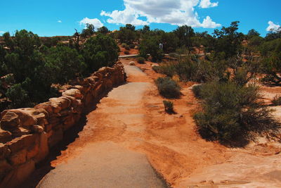 Walkway amidst trees on landscape against sky