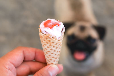 Close-up of hand holding ice cream cone