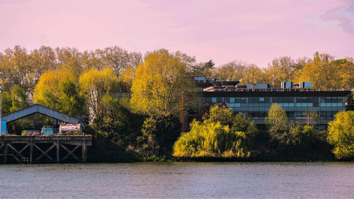 Trees by river against sky during autumn