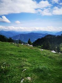 Scenic view of field against sky