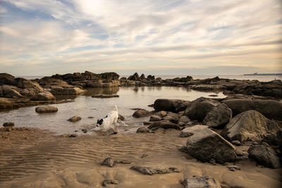 Rocks on beach against sky during sunset