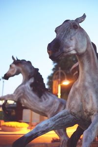 Close-up of statue against clear sky