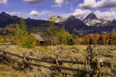 Plants growing on land against mountains