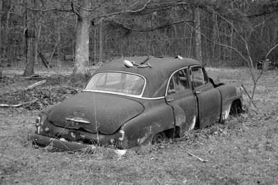 Old abandoned car rusting in the woods