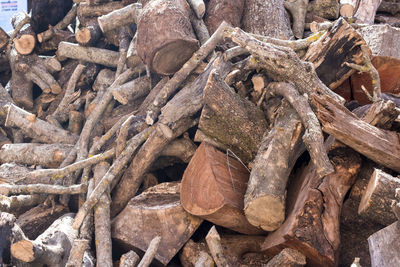 Close-up of logs in the forest