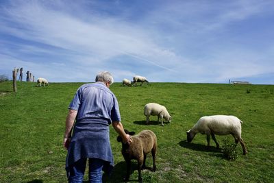 Rear view of men grazing on field against sky