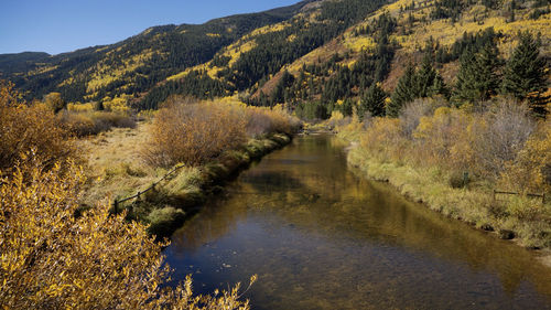 Scenic view of landscape against sky during autumn