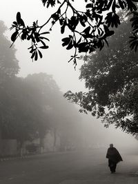 Full length of man walking on street during foggy weather