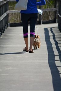 Low section of person with dog walking on floor