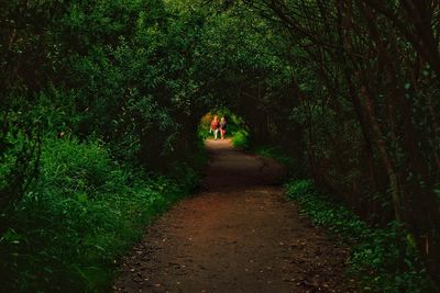 Man walking on walkway in forest