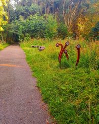 View of trees in grass