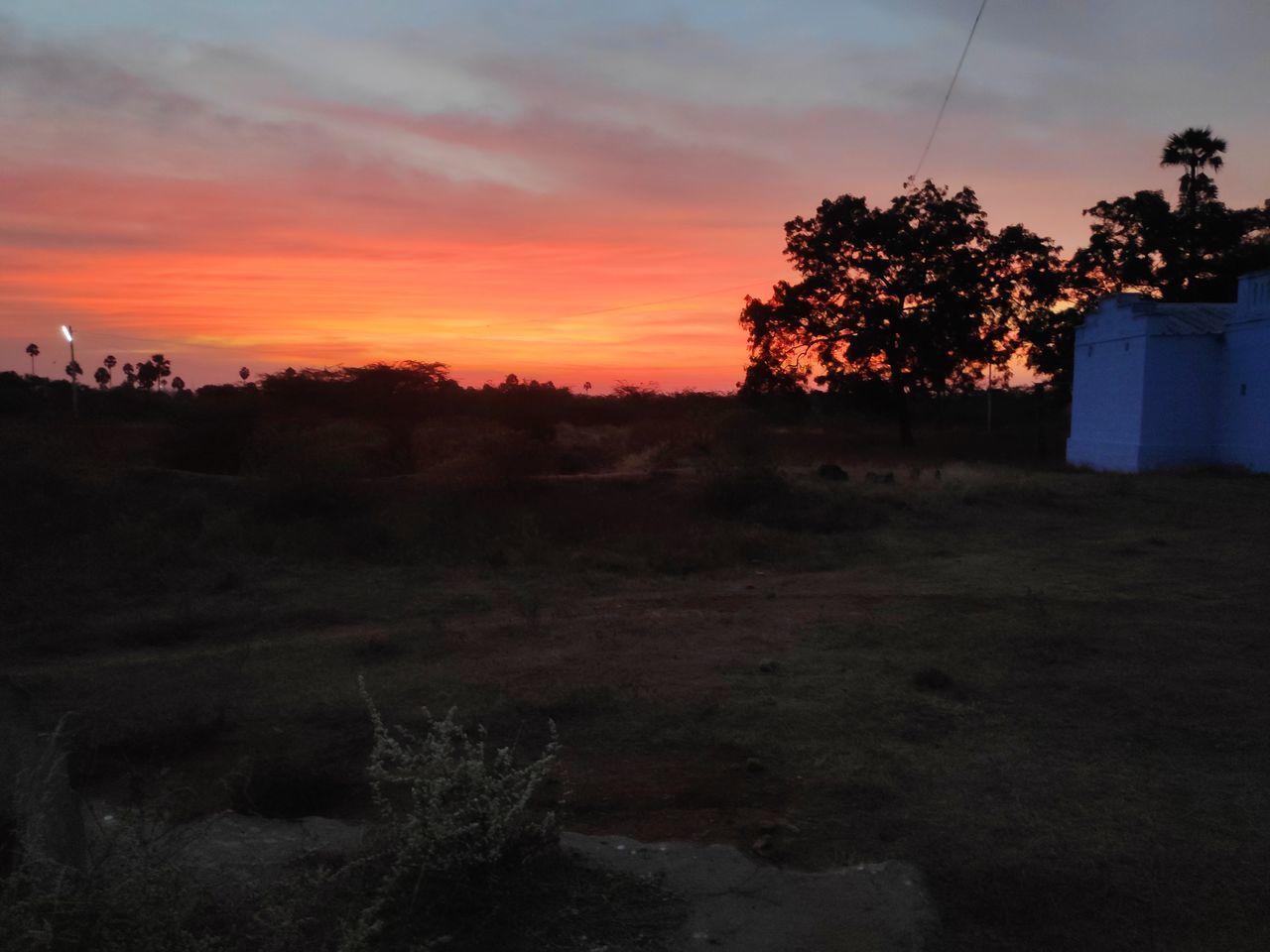 SCENIC VIEW OF FIELD AGAINST ORANGE SKY