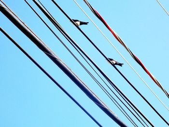 Low angle view of crane against clear blue sky