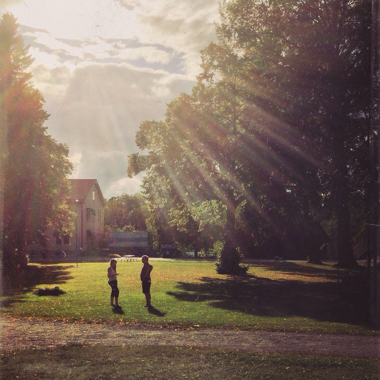 tree, walking, lifestyles, full length, men, leisure activity, rear view, person, footpath, park - man made space, sky, sunlight, street, grass, shadow, standing, outdoors