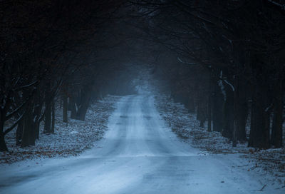 Snow covered road amidst trees in forest