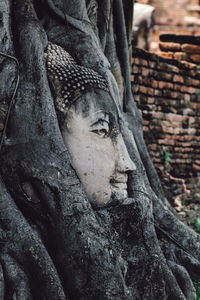 Close-up of statue against tree trunk