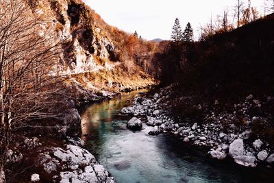 Scenic view of river in forest against sky